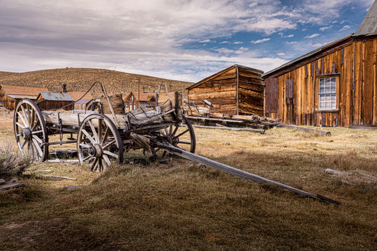 bodie