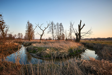 Drzewa nad zakolem rzeki © barytek