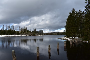 Harz Gebirge am Oderteich