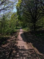 path in the park