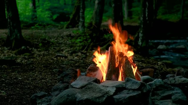 Relaxing campfire in the forest.