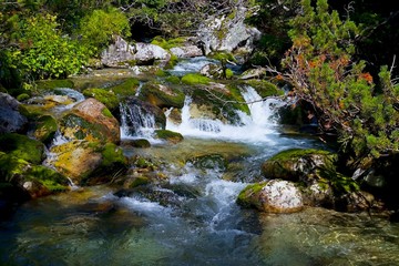 Water in the mountain stream Kezmarska Biela voda.