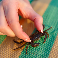 The girl is holding a small crab with two fingers