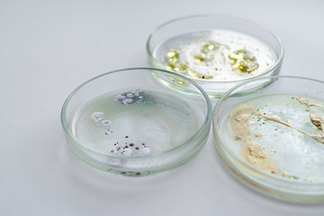 Viruses and bacteria in a Petri dish, various analyses in the laboratory.