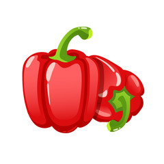 Red paprika on white background, healthy food, vegetables and spices. Vector.