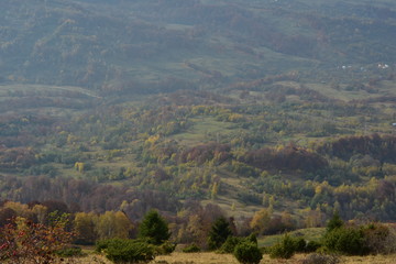 scene seen from above in autumn season from the top of mountain with colored and vibrant trees