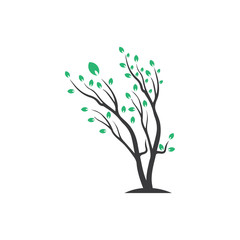 Vector branch , Hand drawn illustration of tree branch design template
