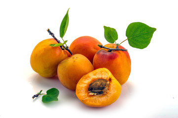Isolated apricot. Fresh cut apricot fruits isolated on white background