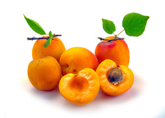 Isolated apricot. Fresh cut apricot fruits isolated on white background