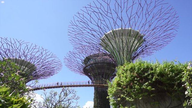 People walking on the bridge in Singapore