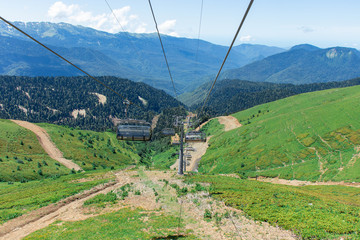 vineyard in the mountains