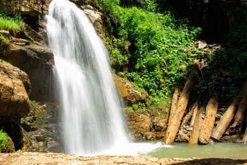 waterfall in the forest