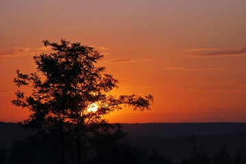 morning sunrise and sunset color sky nature landscape trees