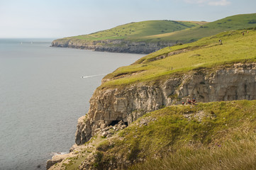Looking West along the beautiful Jurassic Coast on a summer afternoon from a cliff top path near the Dancing Ledge, Worth Matravers, Swanage, Dorset,