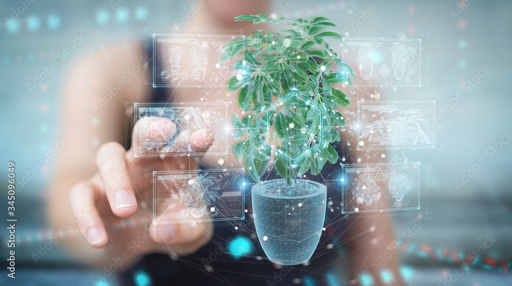 Poster woman holding and touching holographic projection of a plant with digital analysis 3d rendering