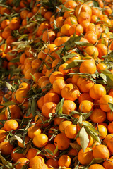 A pile of Oranges with green leafs