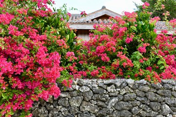 沖縄竹富町の街並み