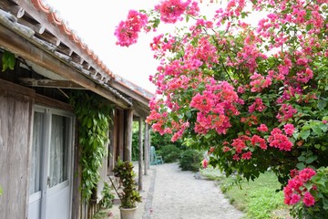 沖縄竹富町の街並み