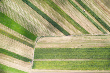 Spring fields top view.