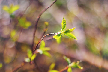 Farbenspiel der Natur
