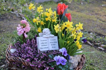 Grabschale mit Blumen und Engel im Frühling auf dem Friedhof 