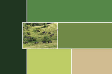 #Nuanciers Palette Trend 2020 Color couleur vert chevaux color chart