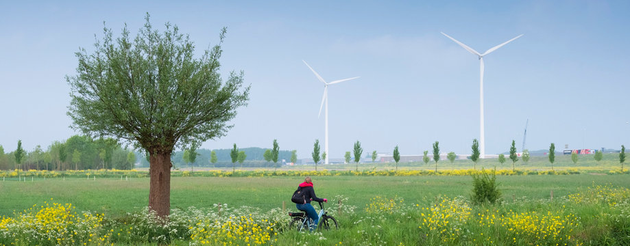 girl on bicycle in spring landscape with flowers near Houten in holland
