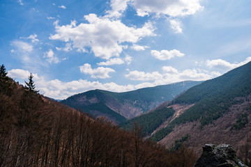 fallen leafed trees in the mountains with a rock in the foreground, czech jeseniky mountains