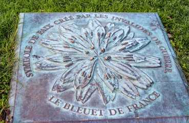 Memorial plaque with a Cornflower on the Esplanade of the Disabled. France.Paris.