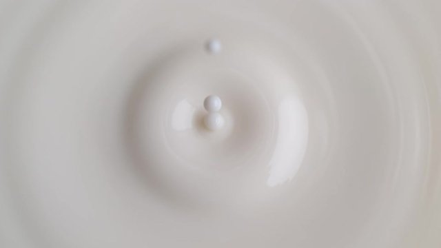 Milk Drop Dripping onto the White Liquid Surface Making Crown and Circular Ripples