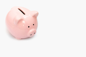 Piggy bank pink pig isolate