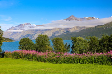 Autumn trip to Stordalsstrand in Ullsfjord, Troms county in Northern Norway