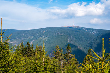 spruce forests in the mountains with a beautiful sky on a sunny day, Czech Jeseniky mountains