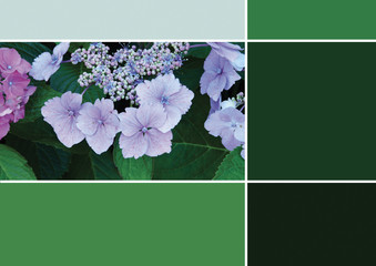 Palette nuancier Trend 2020 fleur couleur vert violet color chart	green