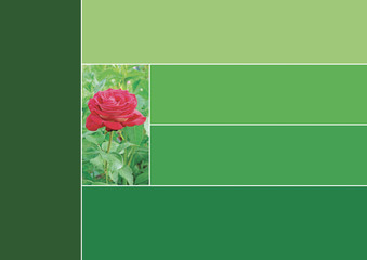 Palette nuancier Trend 2020 Color vert fleur rose green pink flower
