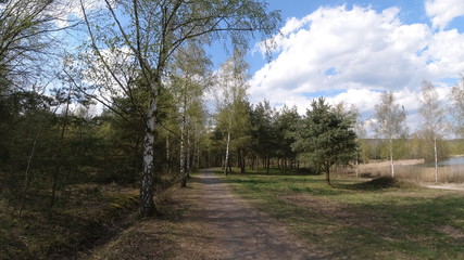 Obraz premium Park, Wald, Bäume, Blumen, See, Frühling