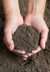 Hands holding black soil. Close-up.