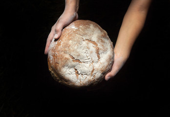 Hands holding fresh round bread.