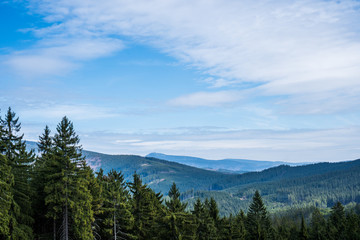 view of beautiful spruce forests in the mountains , czech beskydy