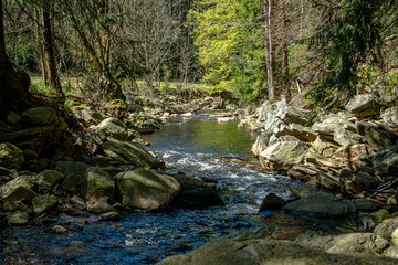 Obraz premium Schwarzwassertal Erzgebirge