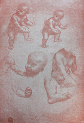 Sketch of babies by Leonardo Da Vinci in a vintage book Leonard de Vinci, author A. Rosenberg,...