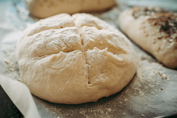 Uncooked bread before being baked