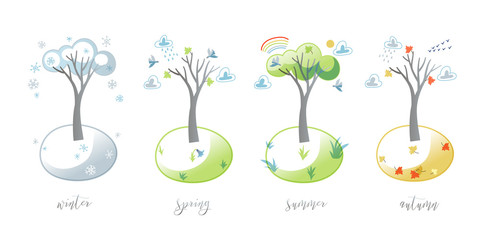 Change of seasons set. Tree in winter in snow and snowflakes; in spring, flowers bloom and flying birds; in summer, green foliage, rainbow; autumn, leaf fall and bare branches. Vector illustration.