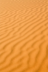 Sand dunes at a sunset in Morocco