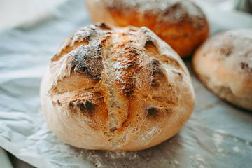 Freshly baked bread in the bakery