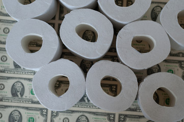 toilet paper rolls dollars on, toilet paper and dollars, concept depreciation of money