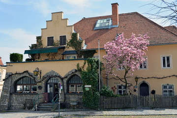 Gasthaus am Alten Markt in Krems an der Donau