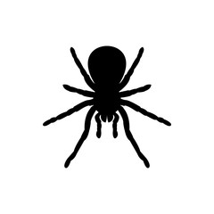 spider icon