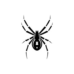 spider icon