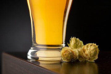 Pale beer and hops crop on bar counter